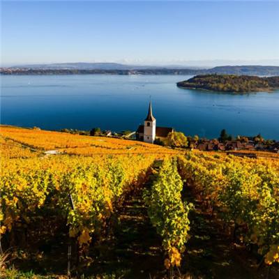 手磨咖啡饮品店